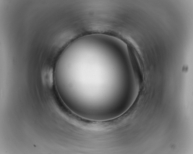 X0000091980020200709061404