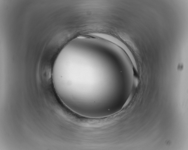 X0000091980021200709061404