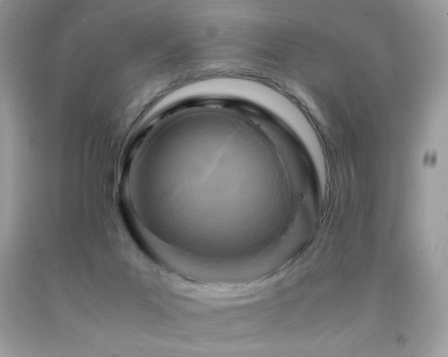 X0000091980023200709061404