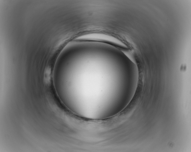 X0000091980024200709061404