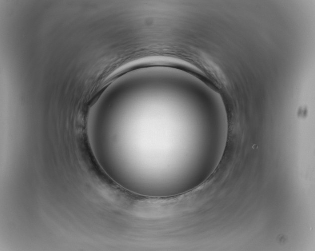 X0000091980025200709061404