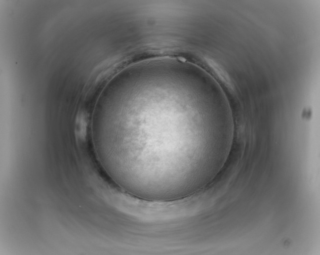 X0000091980026200709061404