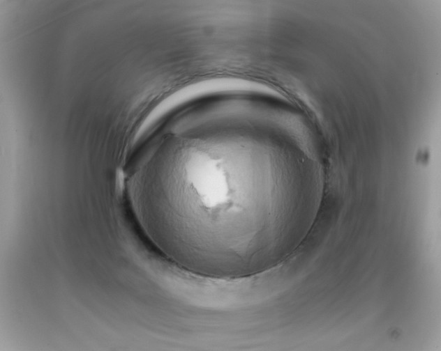 X0000091980027200709061404