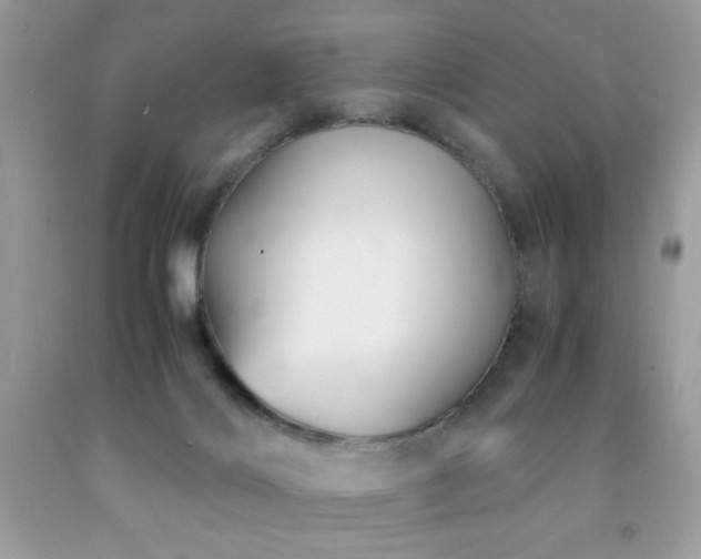 X0000091980028200709061404