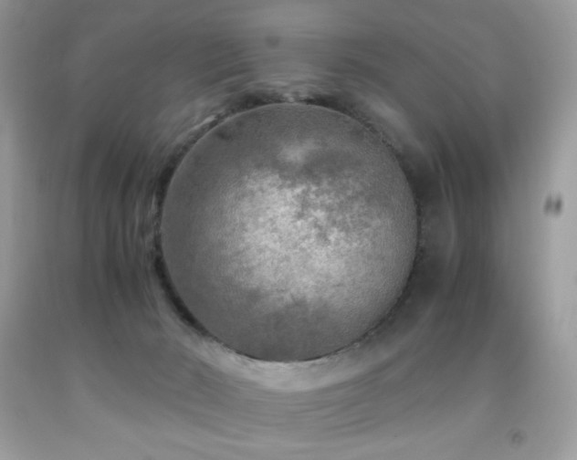 X0000091980030200709061404