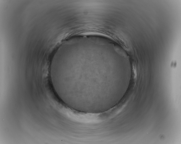 X0000091980032200709061404