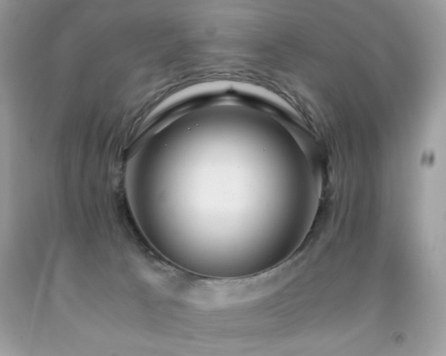 X0000091980033200709061404