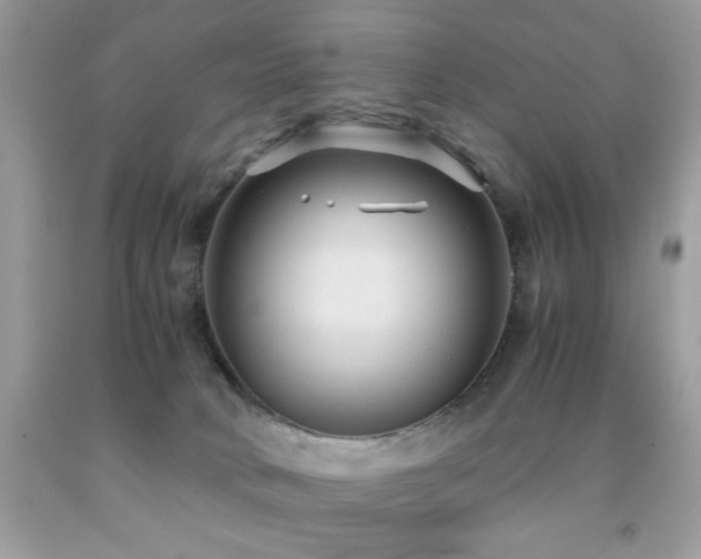 X0000091980034200709061404