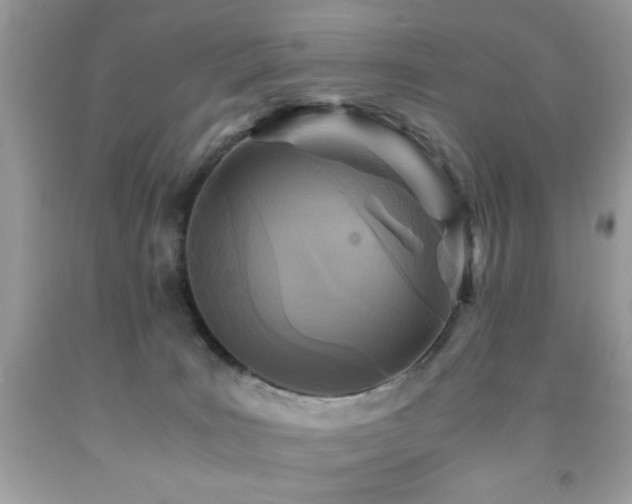 X0000091980035200709061404