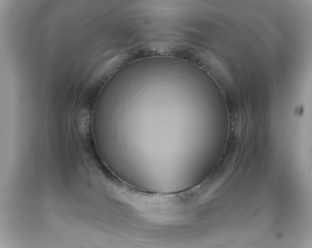 X0000091980036200709061404