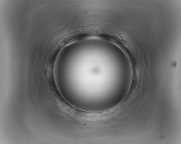 X0000091980037200709061404