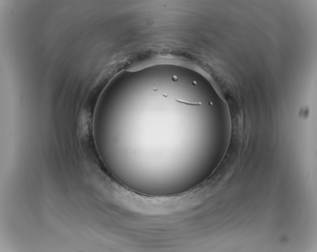 X0000091980038200709061404