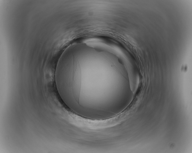 X0000091980039200709061404