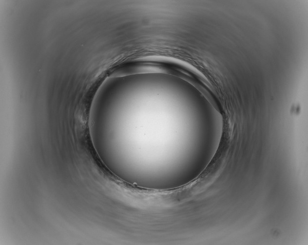 X0000091980040200709061404