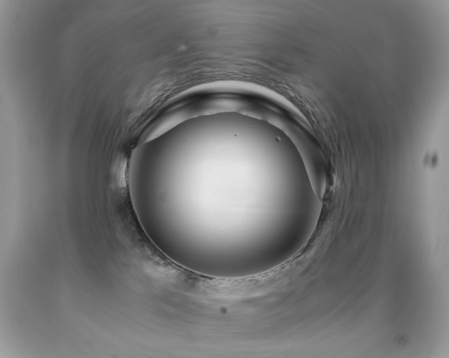 X0000091980041200709061404