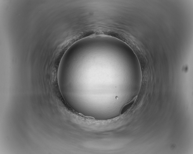 X0000091980043200709061404