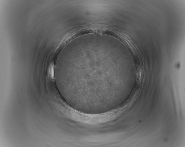 X0000091980046200709061404