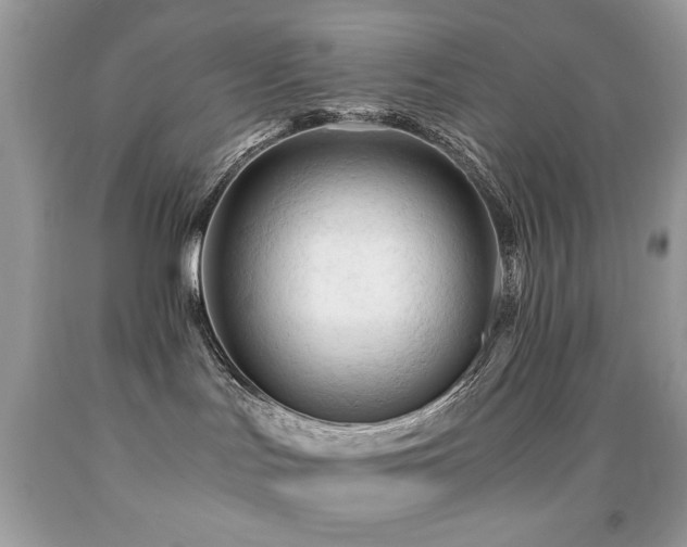 X0000091980047200709061404