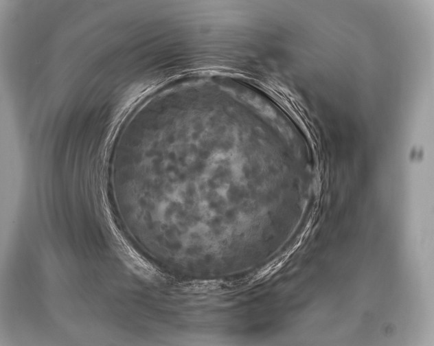 X0000091980049200709061403