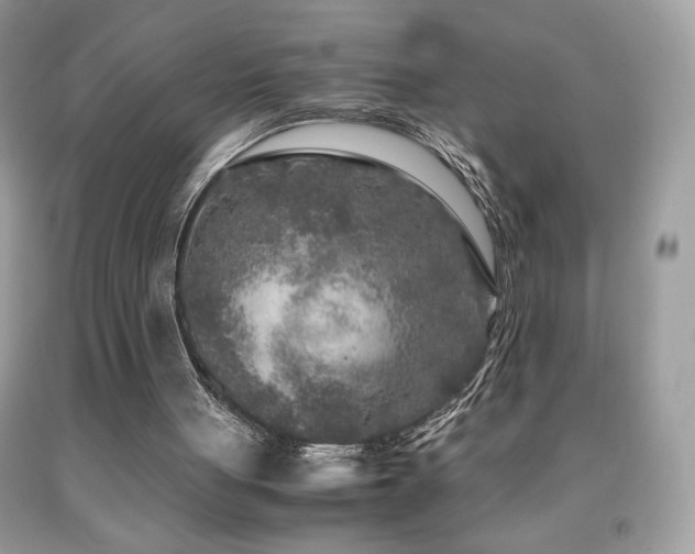 X0000091980051200709061403