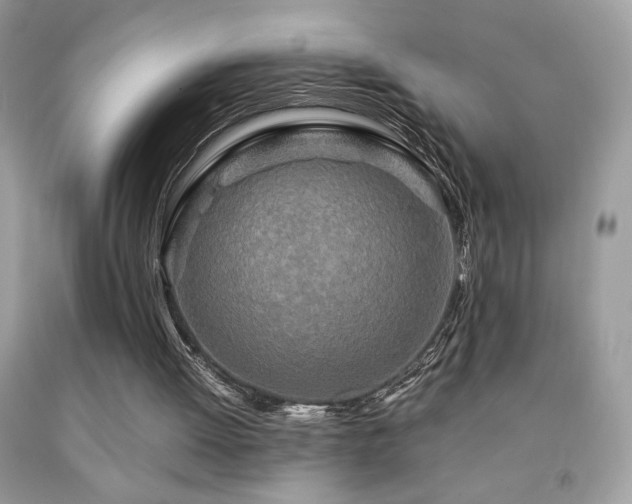 X0000091980052200709061403