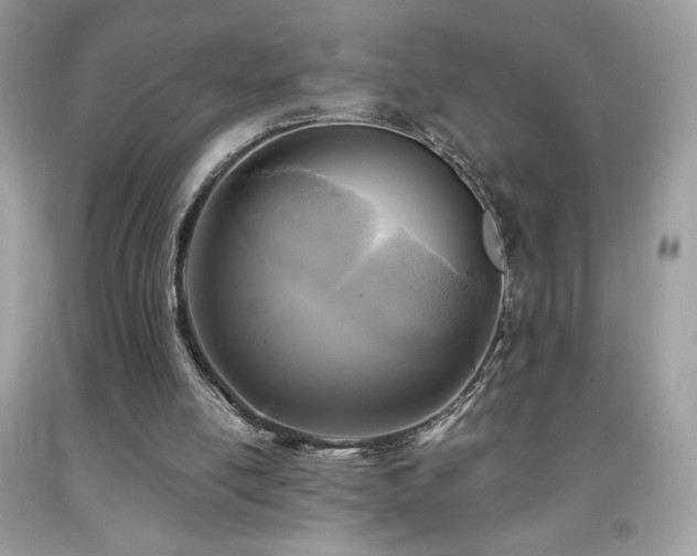 X0000091980054200709061403