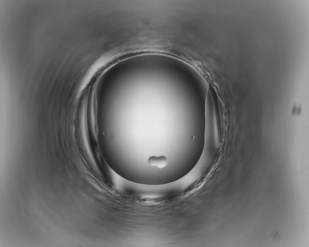 X0000091980056200709061403