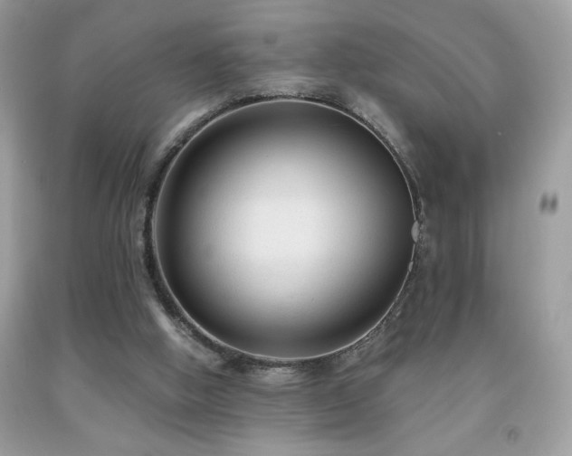 X0000091980058200709061403