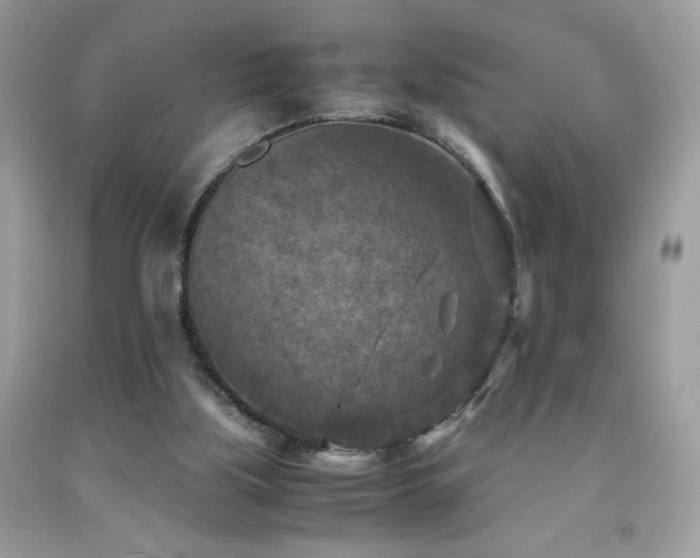 X0000091980059200709061403