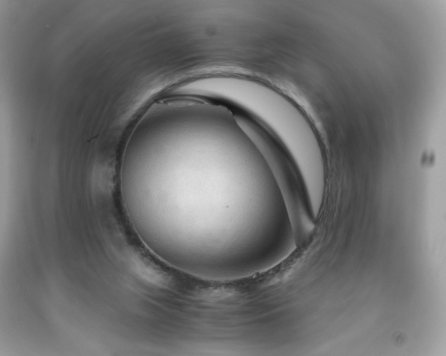 X0000091980063200709061403