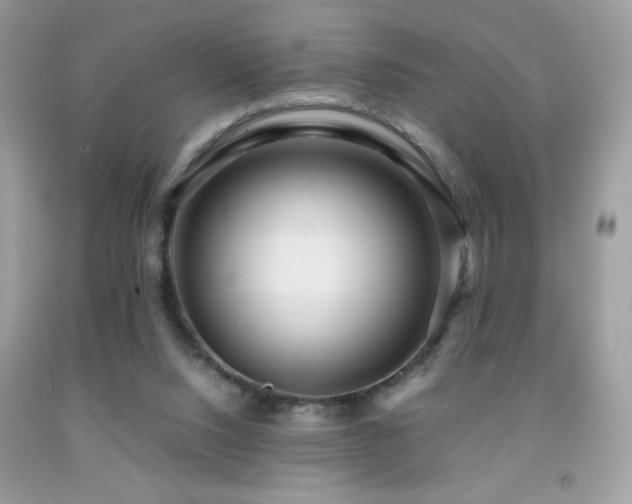 X0000091980064200709061403