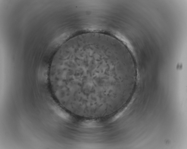 X0000091980065200709061403