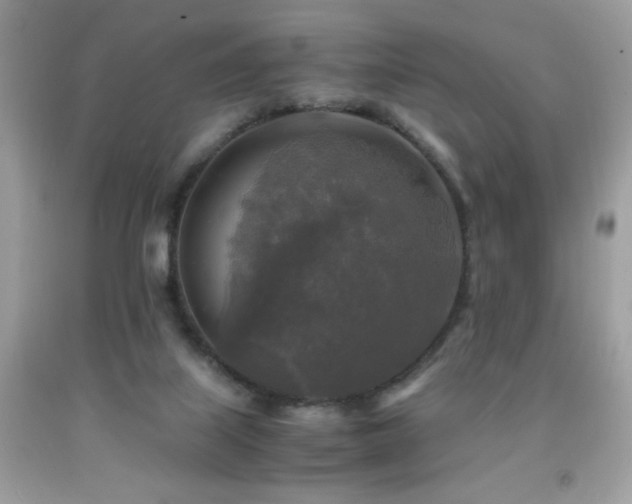 X0000091980067200709061403