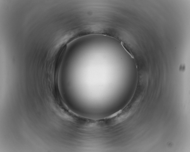 X0000091980072200709061403