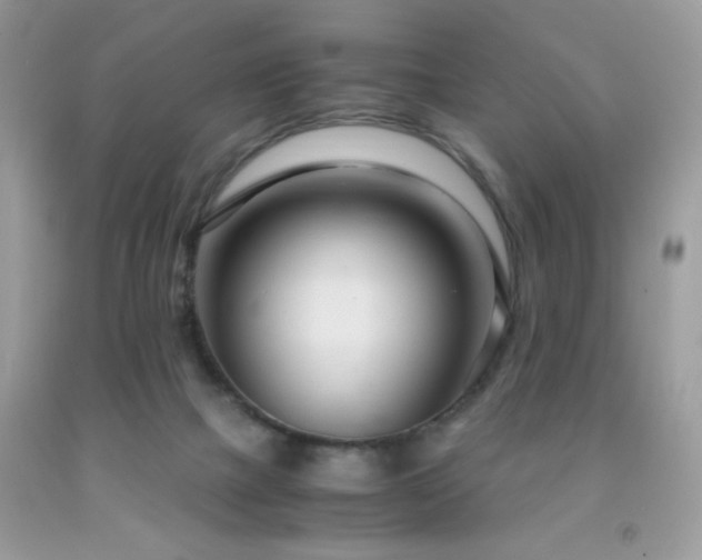 X0000091980073200709061403