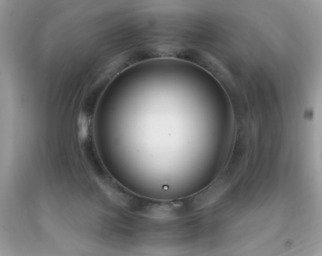 X0000091980075200709061403