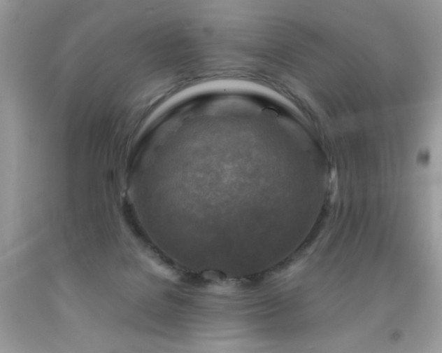 X0000091980076200709061403