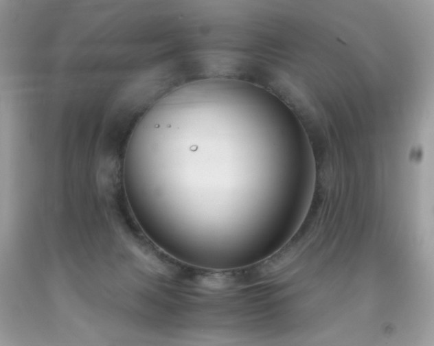 X0000091980079200709061403