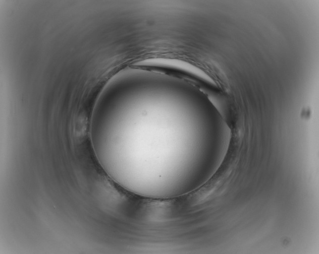 X0000091980081200709061404