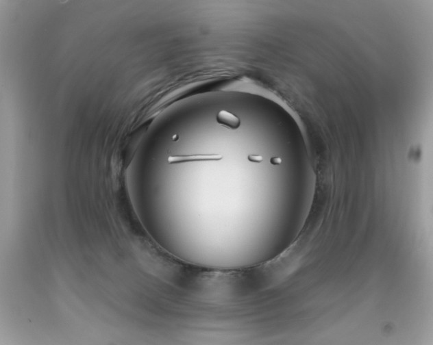 X0000091980082200709061404