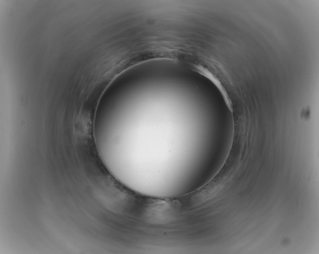 X0000091980083200709061404