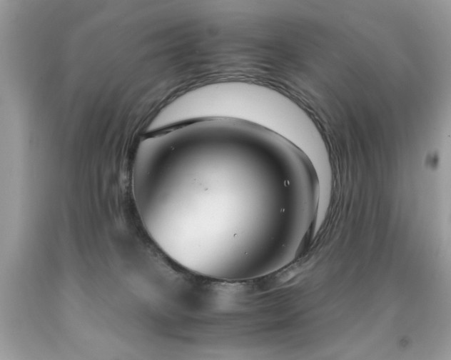 X0000091980085200709061404