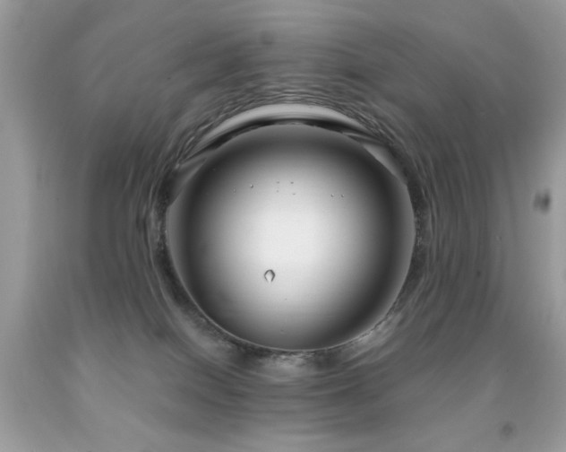 X0000091980086200709061404