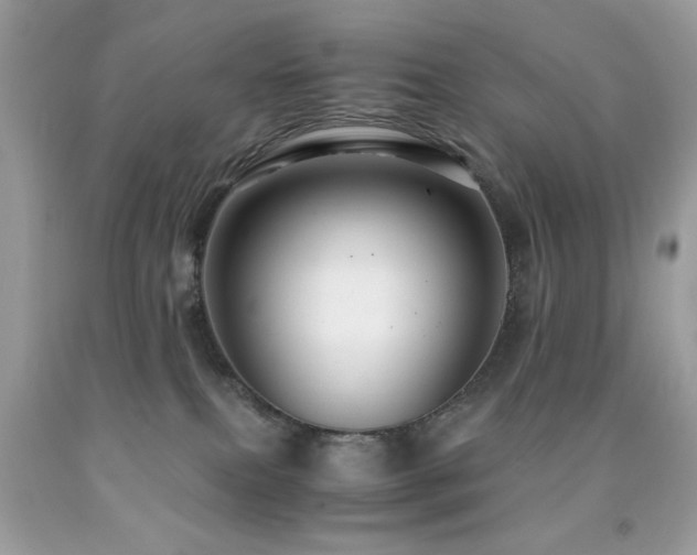 X0000091980087200709061404