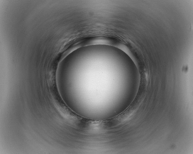 X0000091980088200709061404