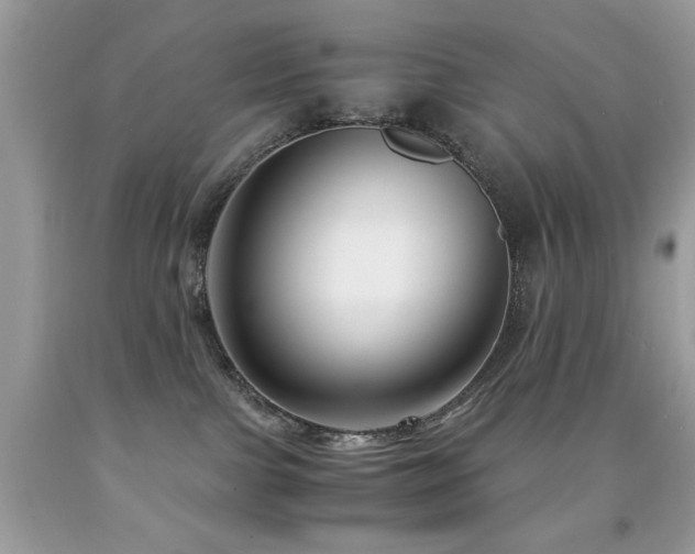 X0000091980091200709061404