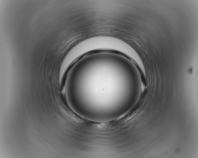 X0000091980092200709061404