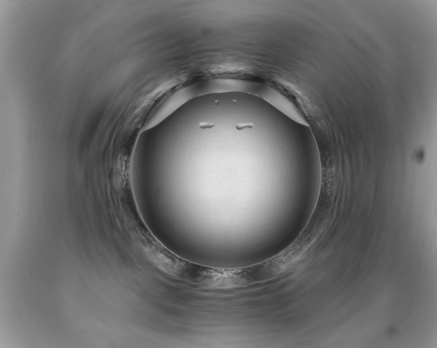 X0000091980093200709061404