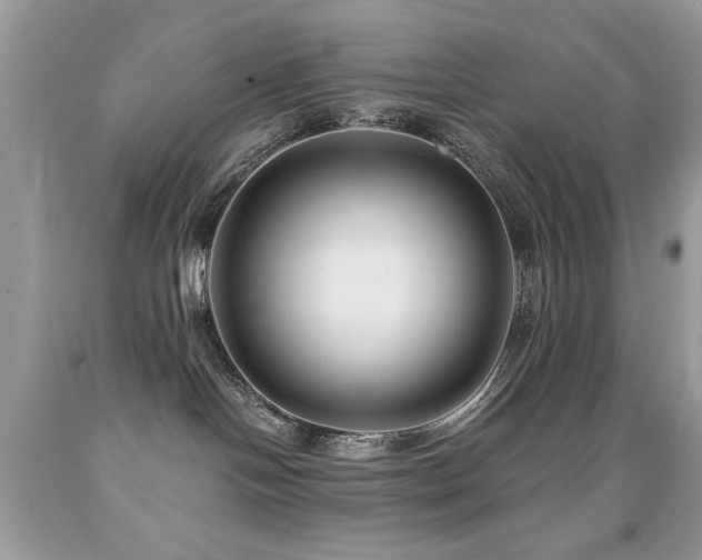 X0000091980094200709061404