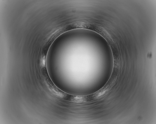 X0000091980095200709061404